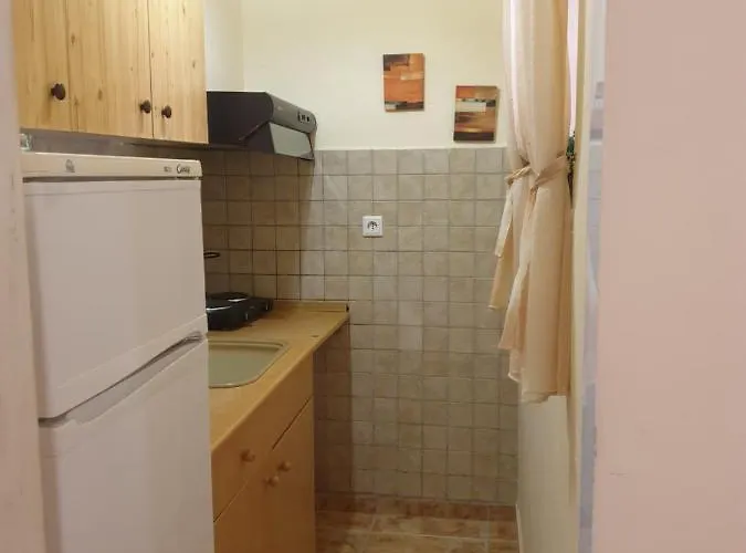 شقة فندقية Vienni Paralía