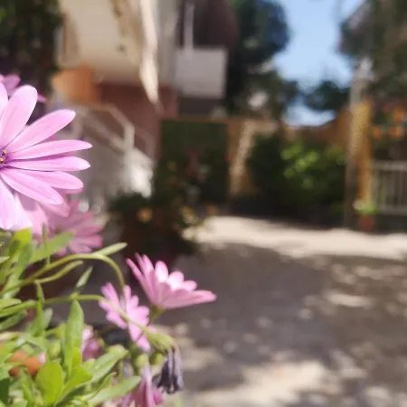 Appart hôtel Vienni 3*