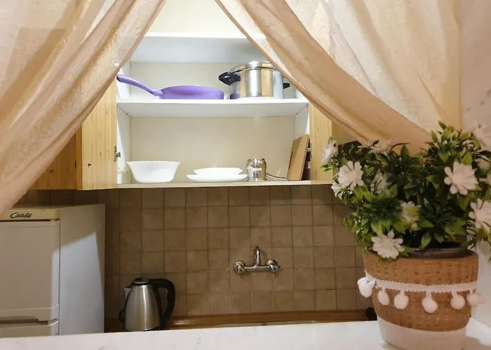 Vienni Aparthotel 3*