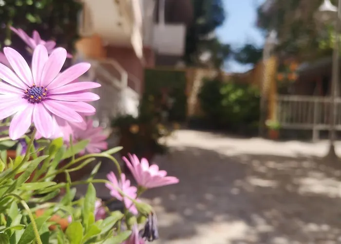 Aparthotel Vienni 3*